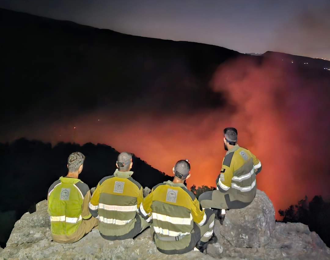 بالصور والفيديو - الحرائق في غابات وادي جهنم تخطت الـ50 هكتارا